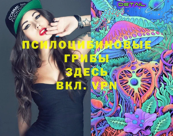 таблы Няндома
