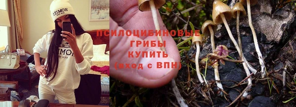 кокаин Новодвинск