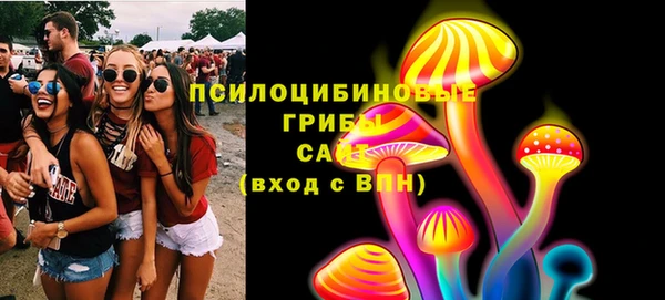 не бодяженный Нязепетровск