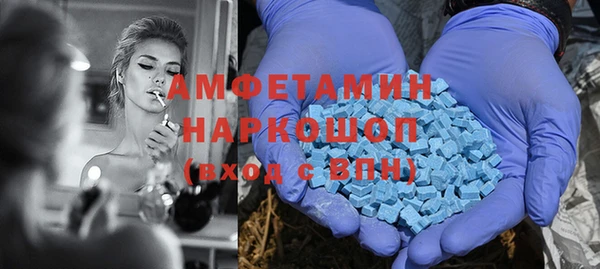 ГАЛЛЮЦИНОГЕННЫЕ ГРИБЫ Новозыбков