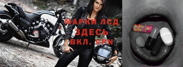 ГАЛЛЮЦИНОГЕННЫЕ ГРИБЫ Новозыбков