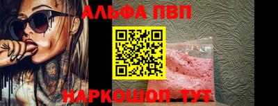 spice Гатчина