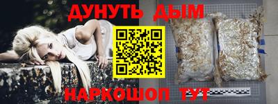spice Гатчина