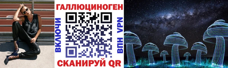 Псилоцибиновые грибы Psilocybe  Удомля 
