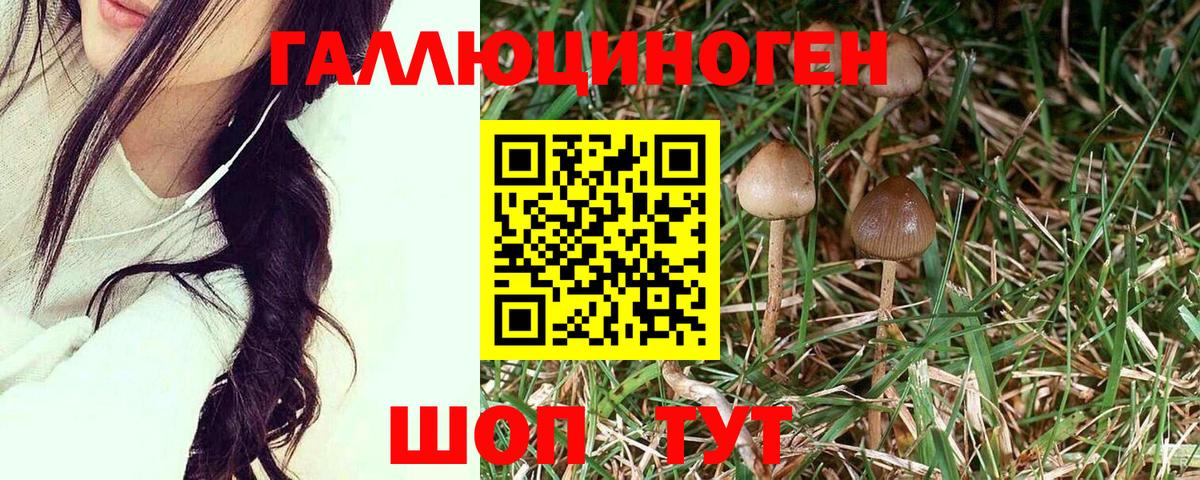 Галлюциногенные грибы прущие грибы Удомля