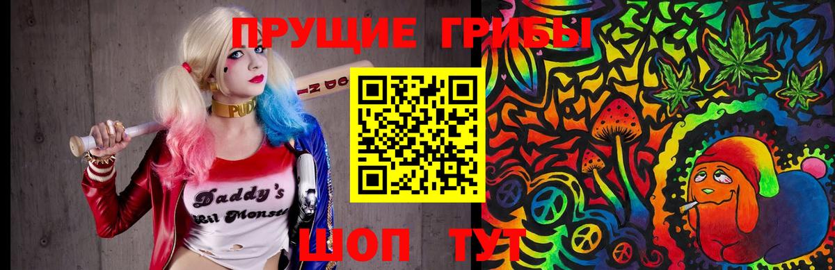 Псилоцибиновые грибы Cubensis Удомля