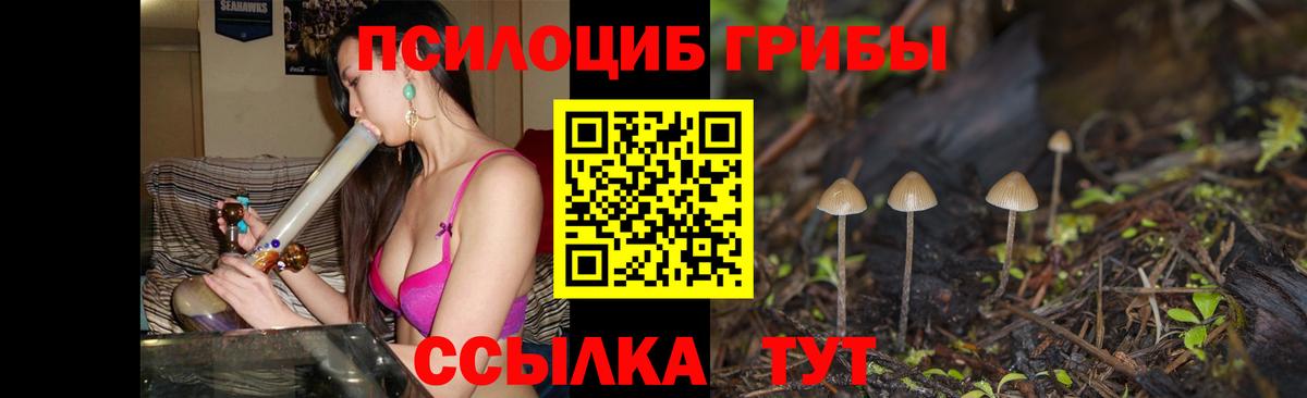 Псилоцибиновые грибы мицелий  Вход с VPN  Удомля 