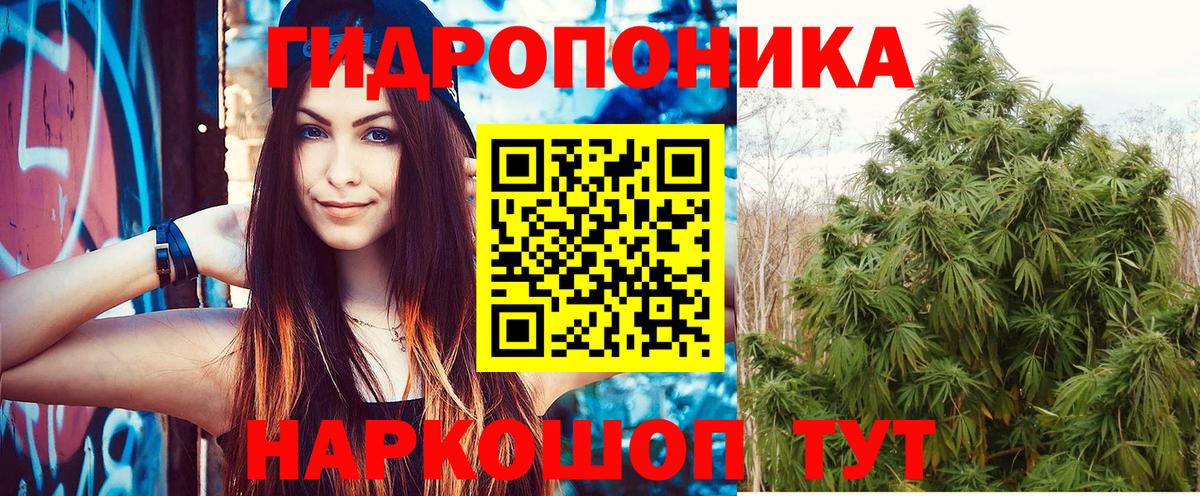 Канабис VHQ  Марихуана индика  Марихуана семена  Удомля  Вход с VPN 